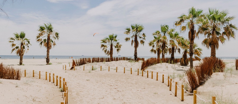Castelló novela e historia frente al mar